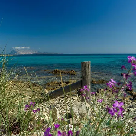 In 23071 San Teodoro