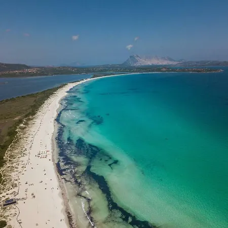 Apartment In 23071 San Teodoro (Sardinia)